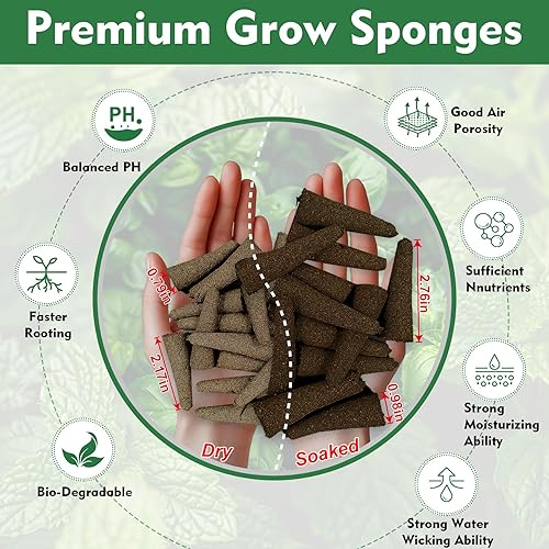 Miniatura 5 de Kit de 216 cápsulas de semillas para aerogarden, esponjas de cultivo para sistema de cultivo hidropónico, vainas de cultivo para kit Aerogarden con