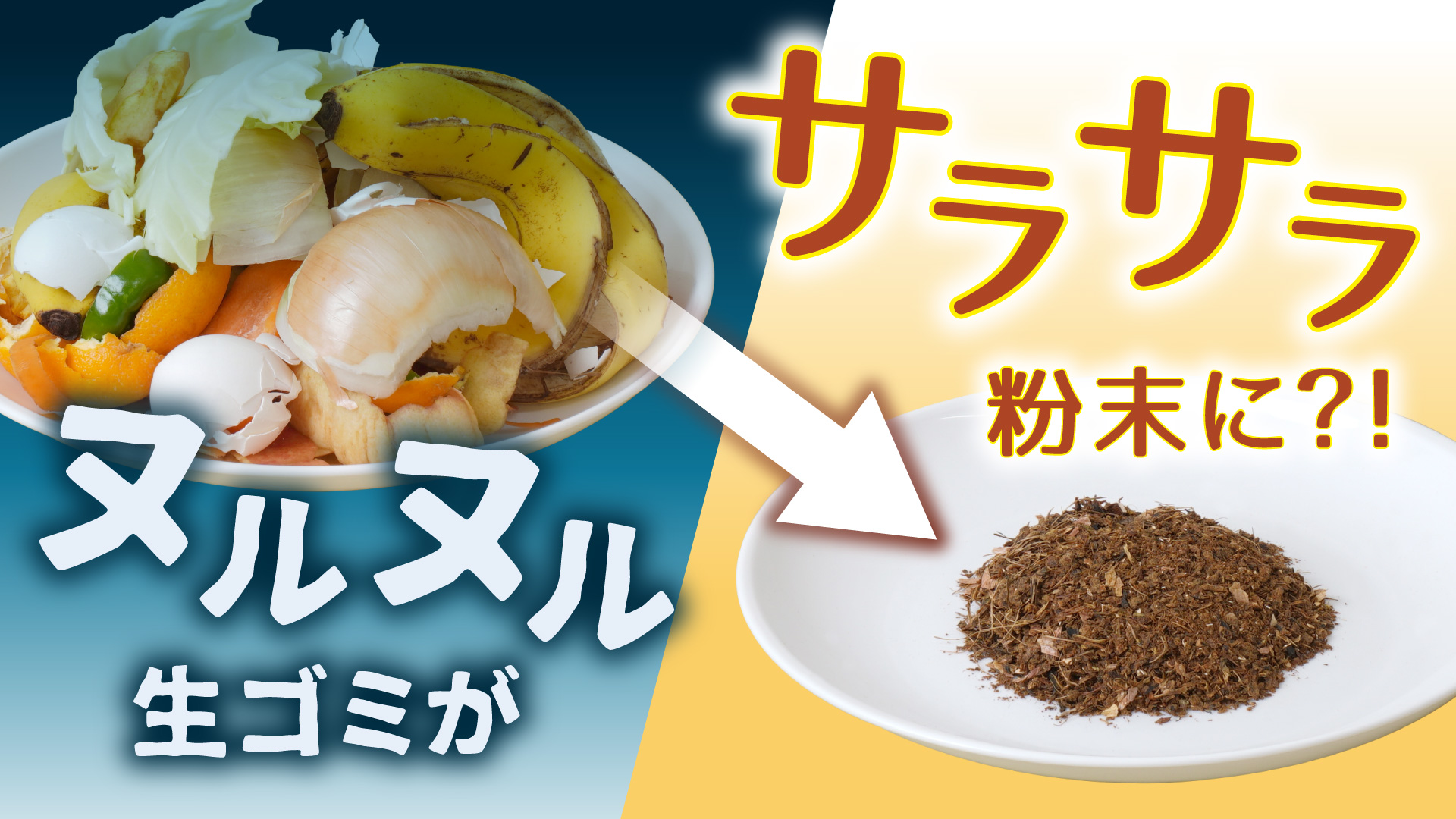 Amazon | THANKO 3L生ゴミ処理機 カラッと粉砕ゴミへらすん NMGS25HWH