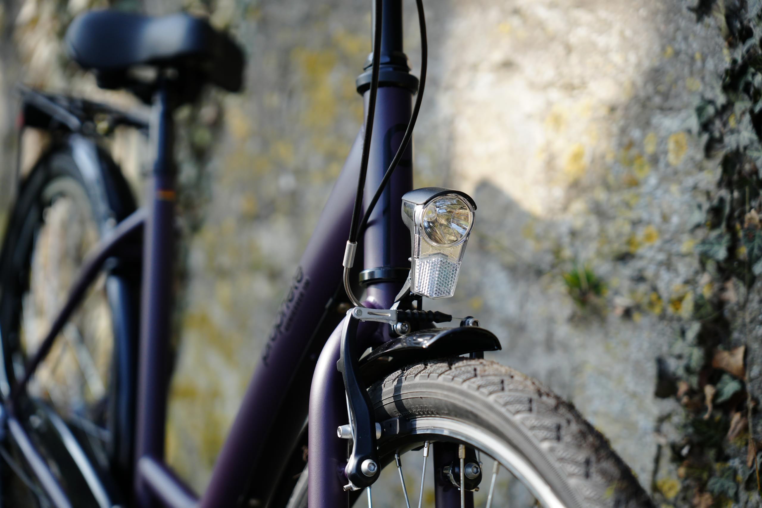 Prophete GENIESSER 100 28 Zoll Citybike Damen mit 3 Gang Nabenschaltung LED Beleuchtung Rücktrittbremse und V Bremse RH 46 cm Dark Purple matt