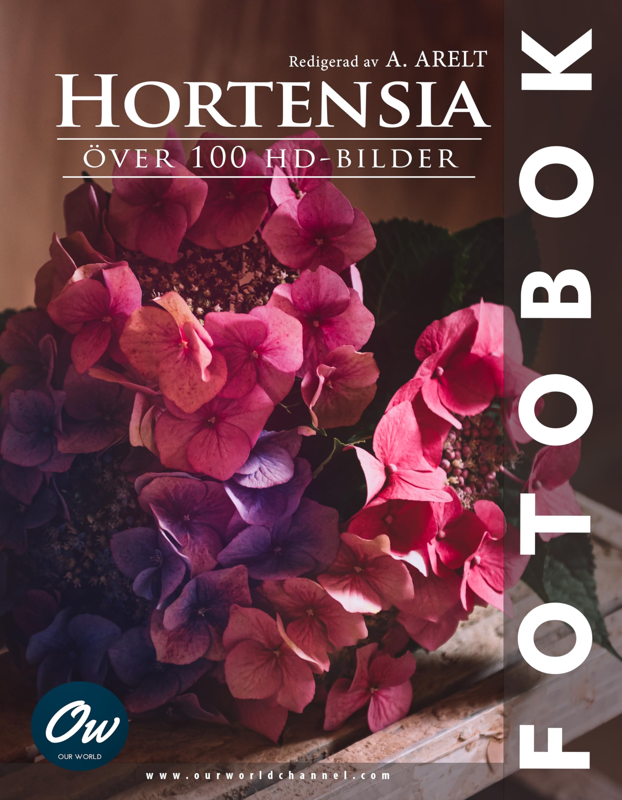 Hortensia album de photos haute définition pour sublimer votre décoration intérieure