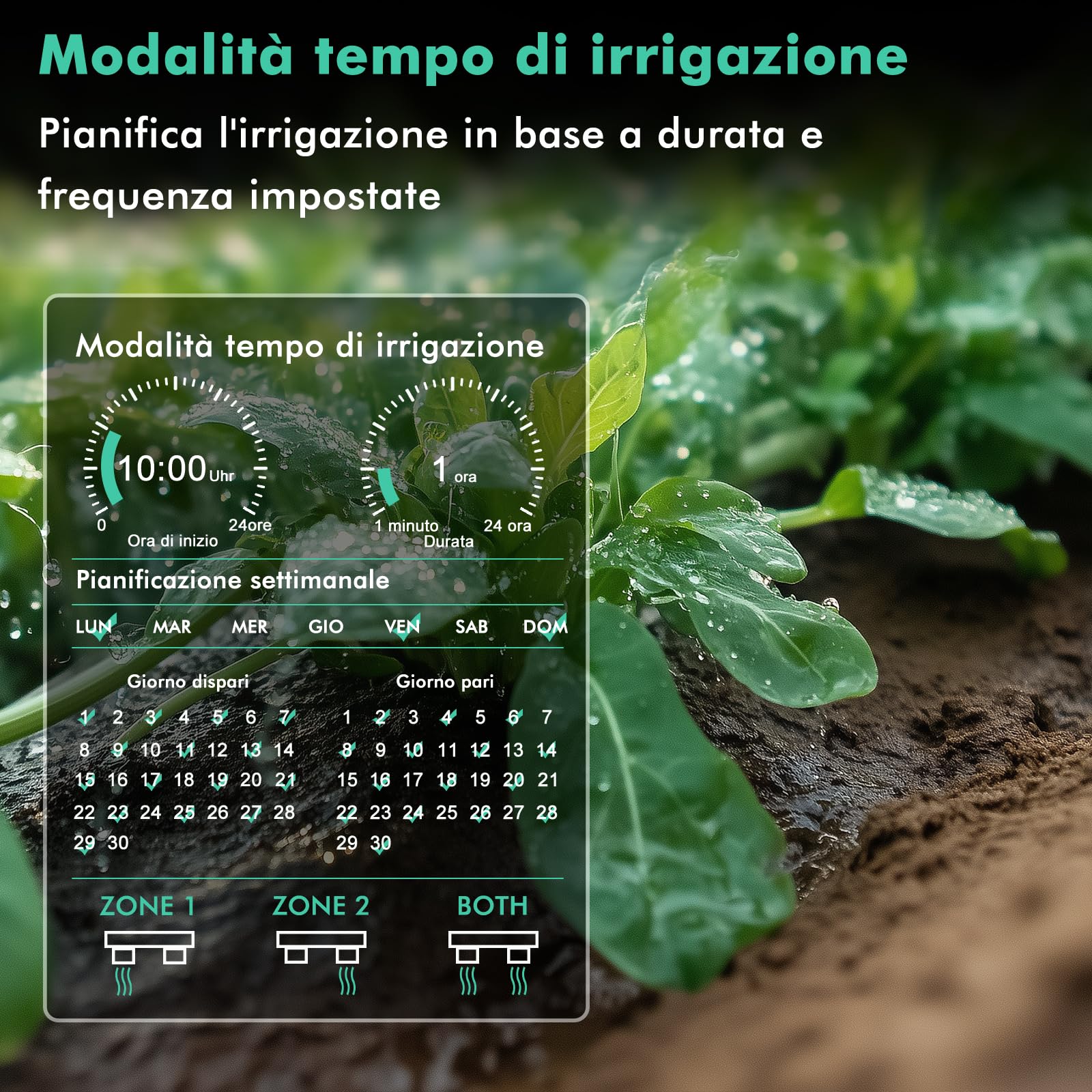 RESTMO Computer di Irrigazione a 2 Zona con Chip Bluetooth | Controllo app, Automatico/Manuale/Ritardo Della Pioggia, Timer di Irrigazione per Tubo da Giardino