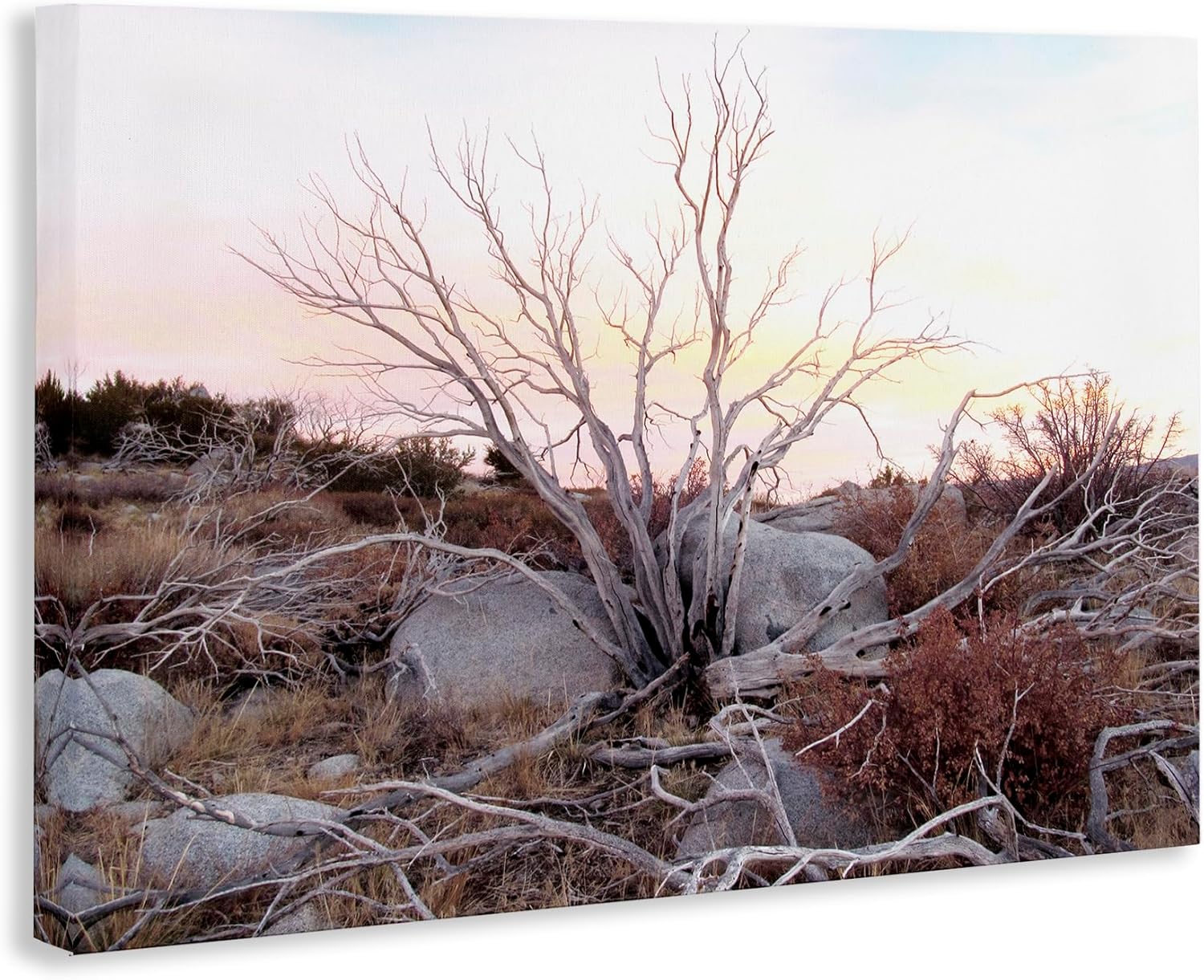 Stupell Industries Rocky Foothills Terrain Canvas Wall Art, design by Gemma Bardot, 30 x 20
