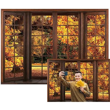Amazon.com : Allenjoy Autumn Tree Window Backdrop Fall Forest Scene ...