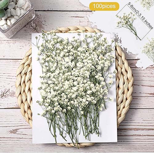 Miniatura 3 de Fabbay El juego de envolturas de invitaciones de boda incluye chaquetas de vellum preplegadas para invitaciones de 5 x 7 pulgadas, flores secas