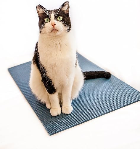 Feline Yogi - Alfombrilla para gatos con hierba gatera para gatos. Poste rascador para gatos, cama, tapete de juego de actividades (azul)