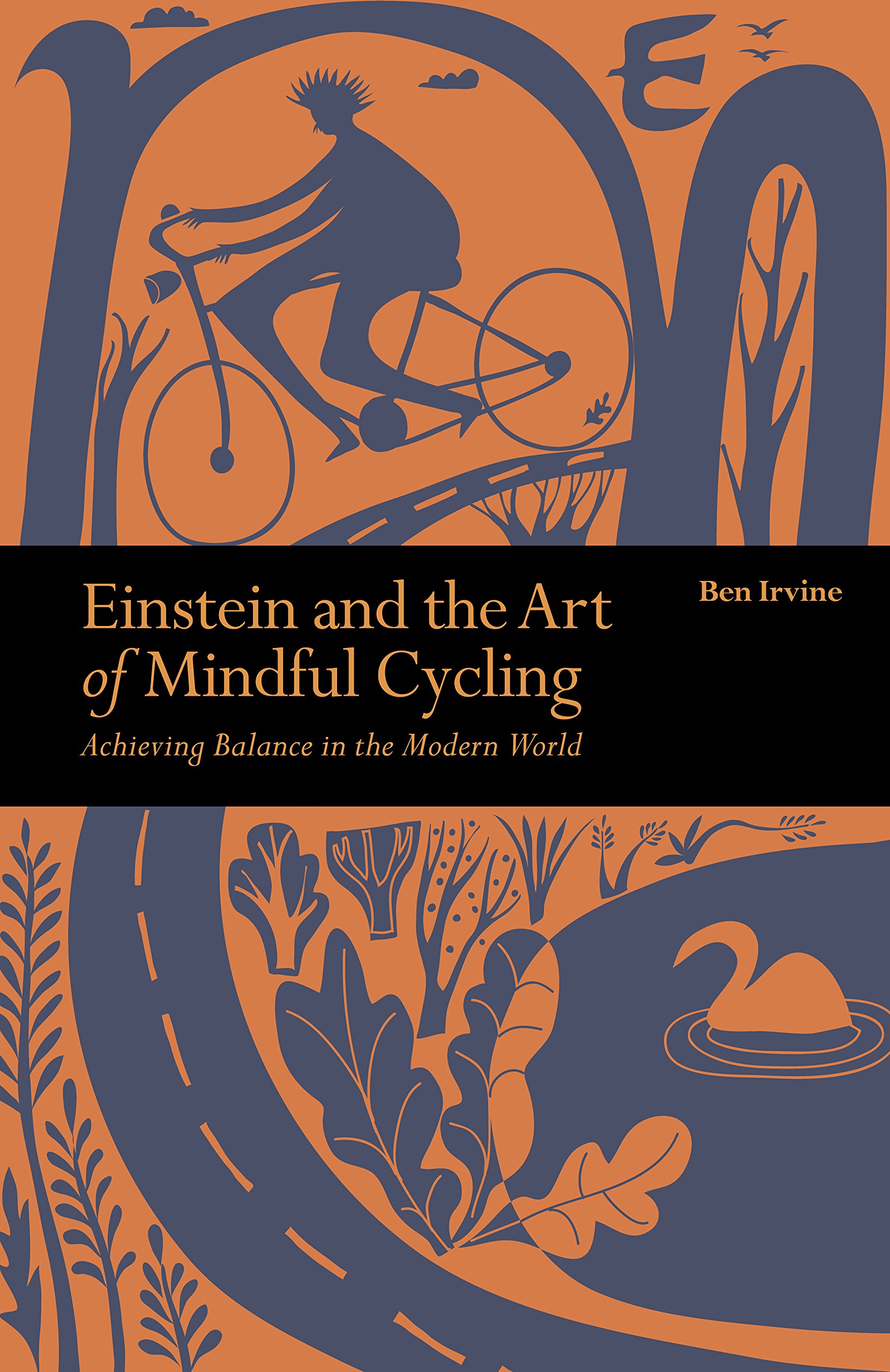Buy Einstein & The Art of Mindful Cycling: Achieving Balance in the Modern World (Mindfulness series) — BookShops.in