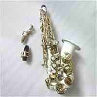 pieta Excellent 4C.•(アルト) Amazon.com: Professional Performance Curved High-pitched