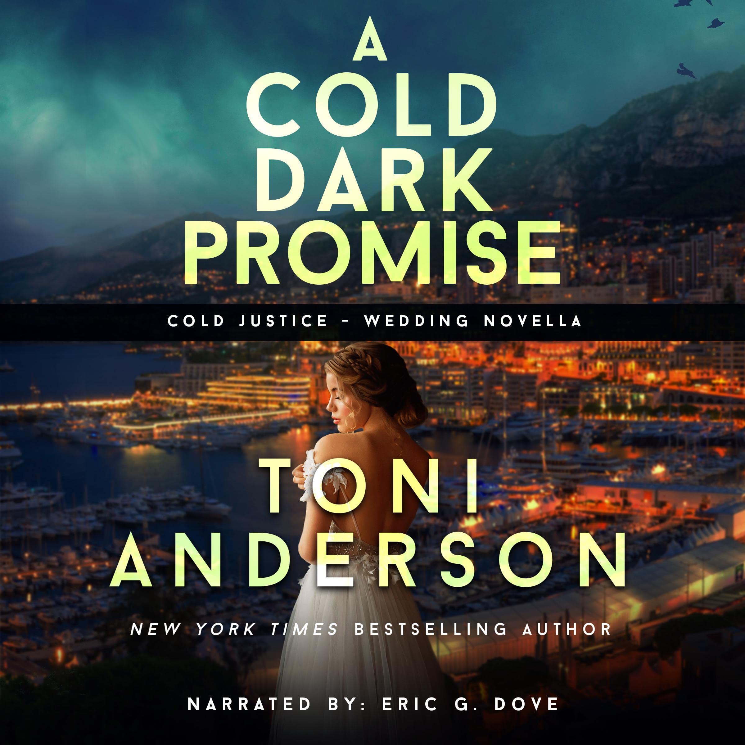 Cover art for A Cold Dark Promise