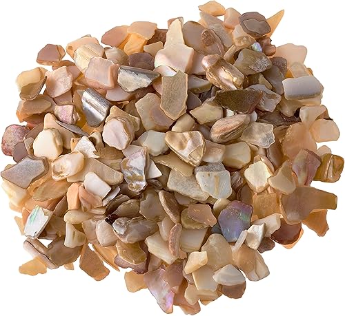 Miniatura 3 de Ashland Paquete de 8: conchas trituradas naturales