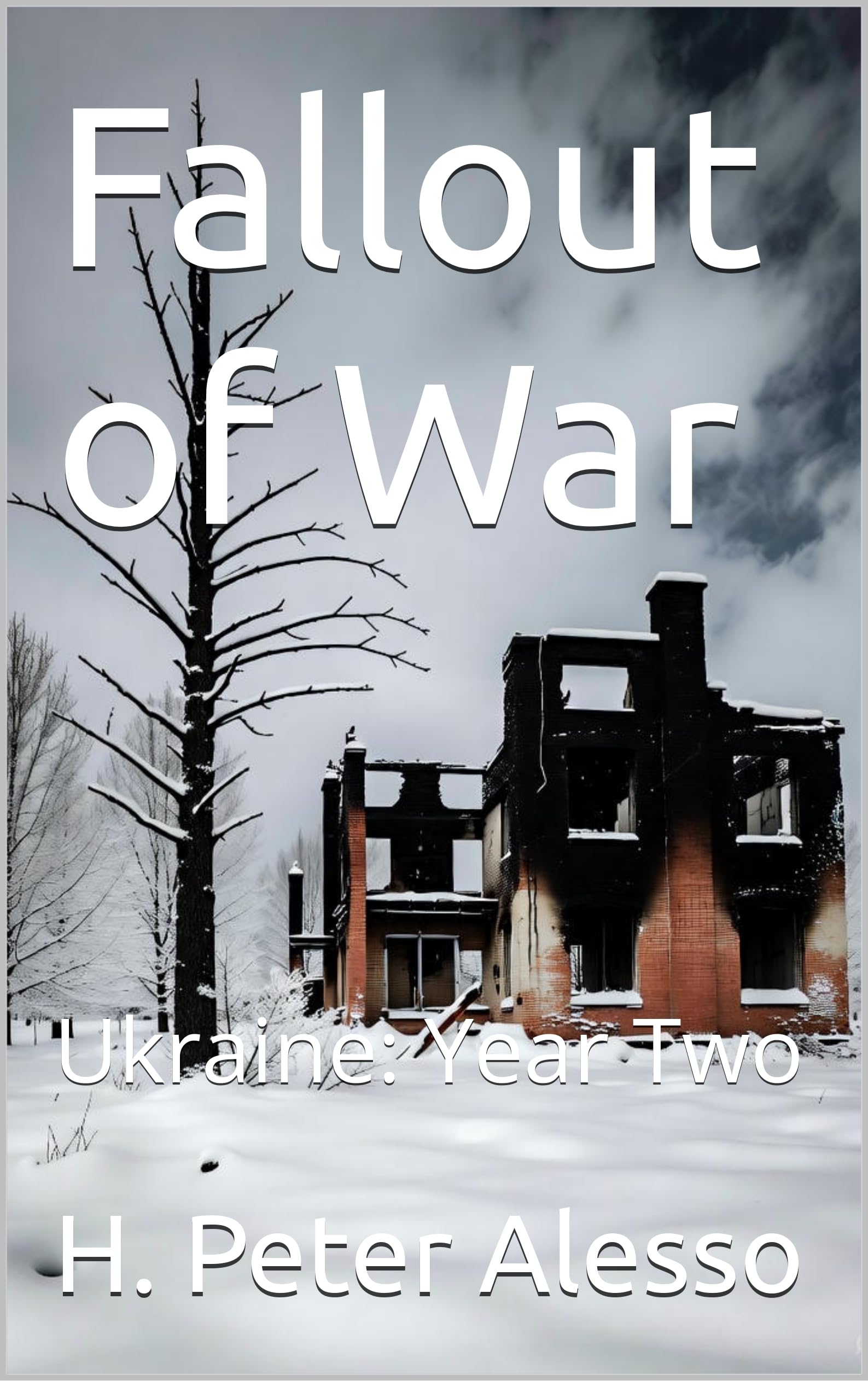 Fallout of War: Ukraine: Year Two