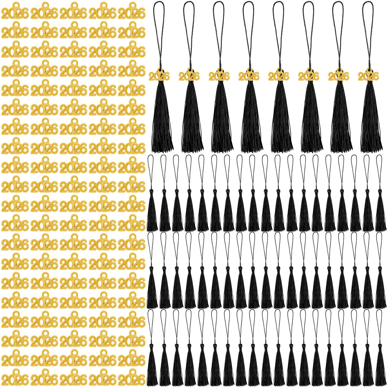 Photo 1 of Cindeer 100 Pcs Mini Graduation Tassels with 100 Pcs 2026 Tassel Charms for Crafts Mini Silky Bookmark for Graduation Cap Keychain Ornaments DIY Craft Jewelry Making Project(Black)