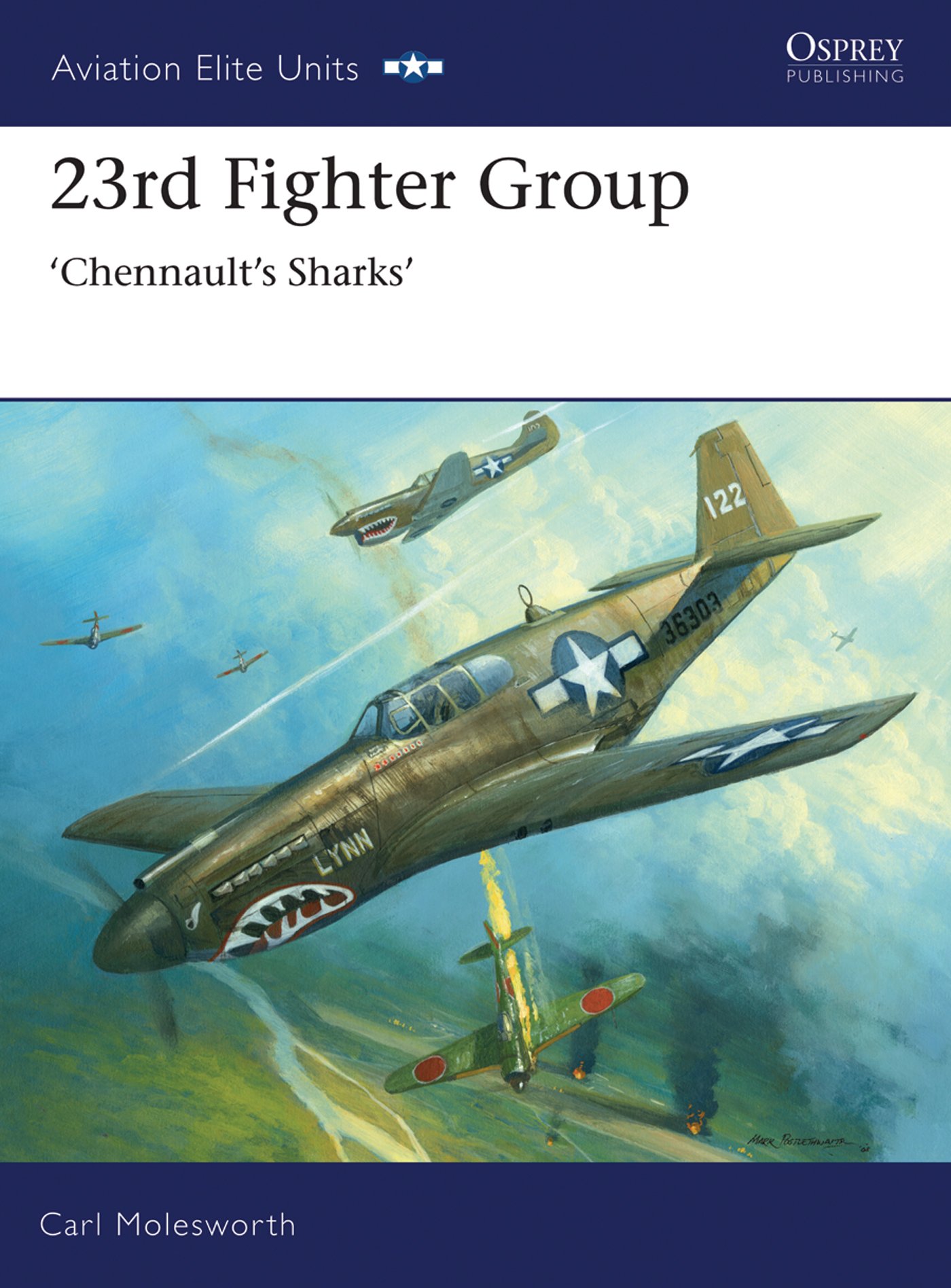 23rd Fighter Group. Chennault's Sharks (Aviation Elite Units): No. 31