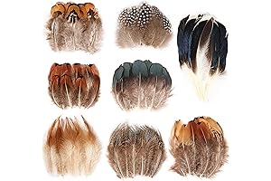 THARAHT 240pcs Mix Colour Eight Style Spotted Small Natural Feather for Crafts and Decorations