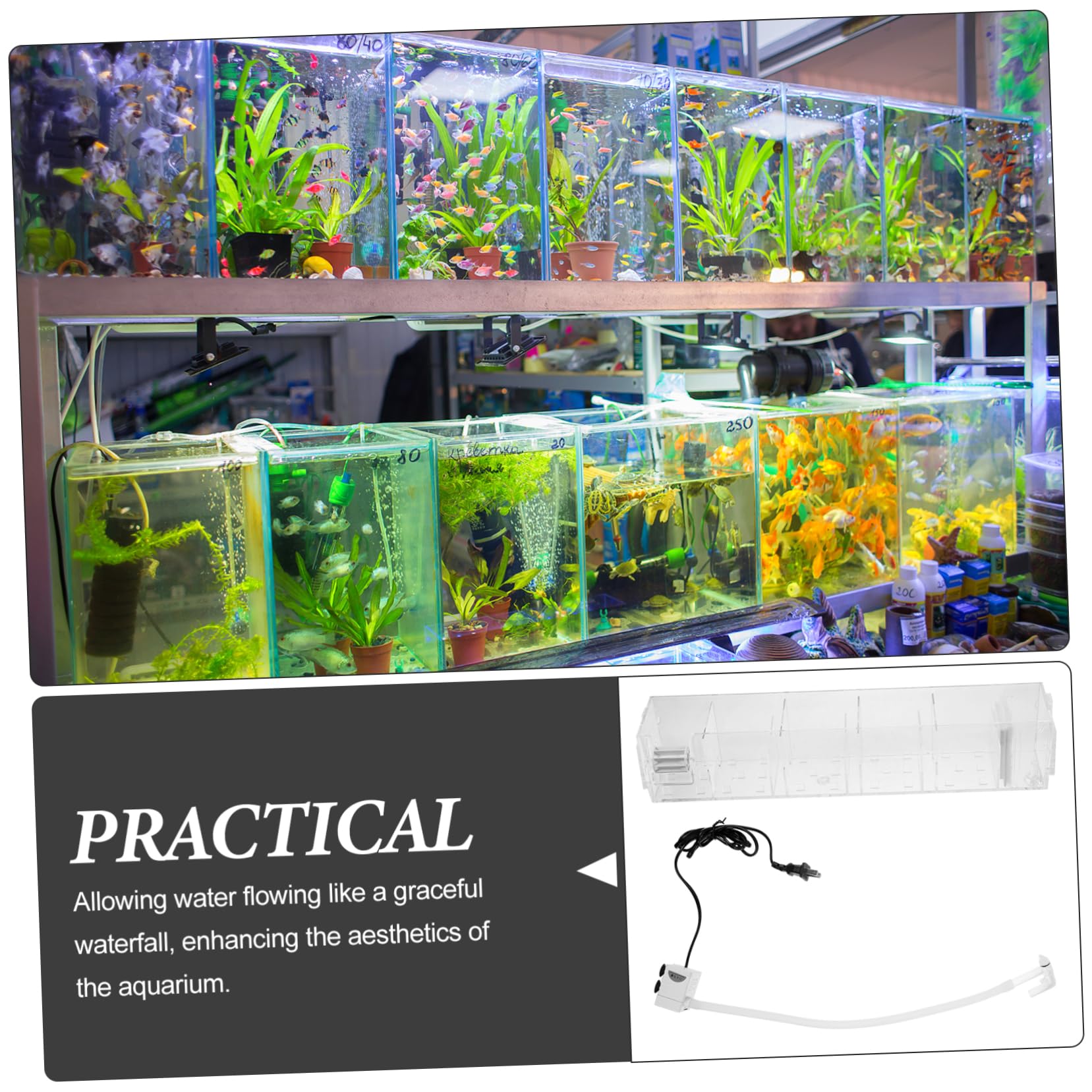 BESPORTBLE 3 Juegos Filtro De Pecera Filtros De Pecera Colador Filtros para Pecera Filtros Limpiadores De Acuarios para Peceras. Filtro De Acuario De Bote De Agua Acrílico