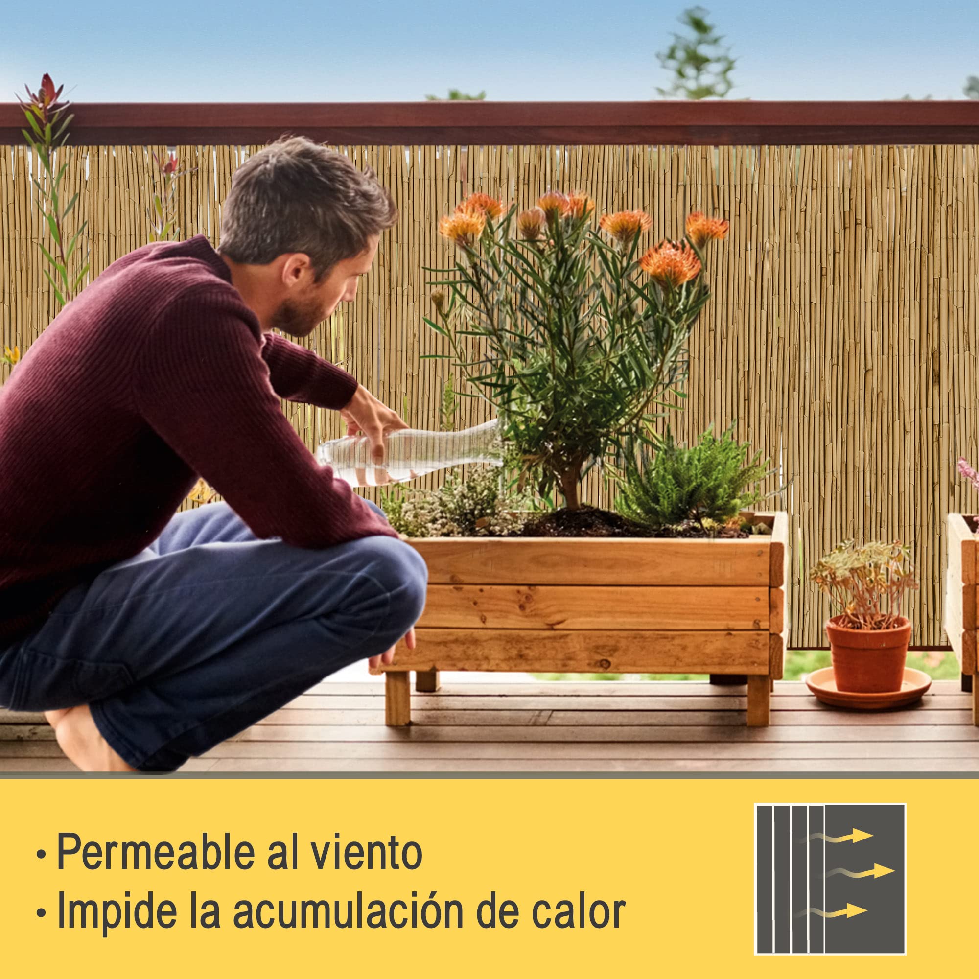 Sol Royal estera jardín de caña natural junco protección visual balcones | 140x600cm (A x L) para valla o balcón terrazas barandas privacidad cañizo pantalla interior exterior SolVision S36