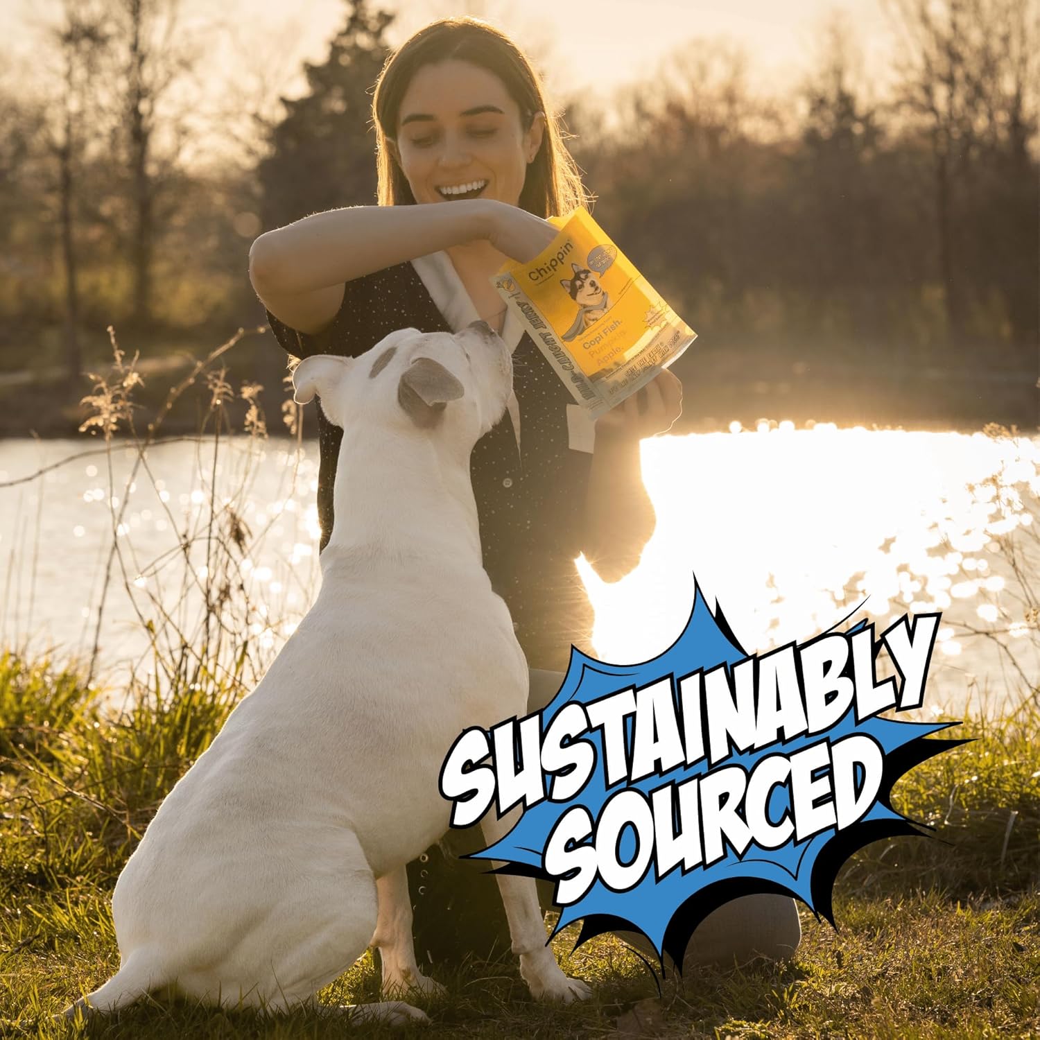 Chippin Dog Treats, Healthy Soft Chewy Treats with Fish Protein & Pumpkin, Grain Free Dog Treats for Training or Rewards for Small, Large Dogs, Natural Ingredients for Sensitive Stomach, 4 Pack