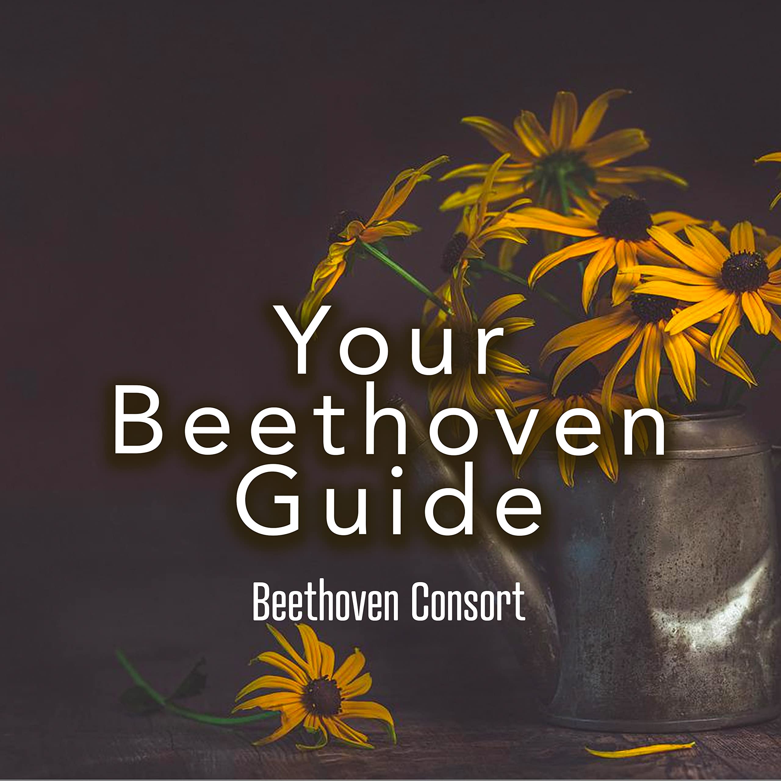 Beethoven Consort