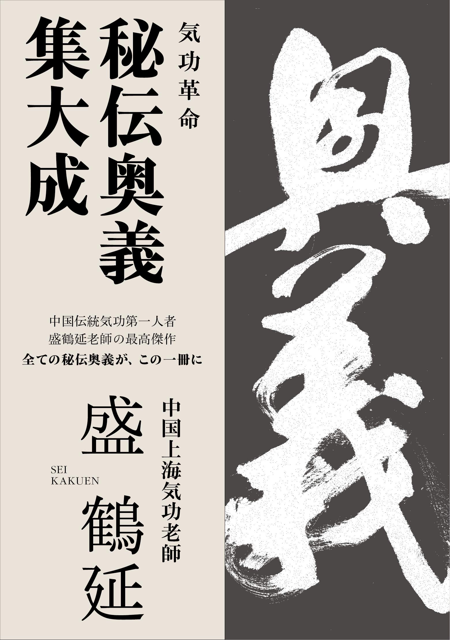 気功革命 秘伝奥義 集大成: 著者自ら出演・解説するⅮVⅮ2枚組付 | 盛