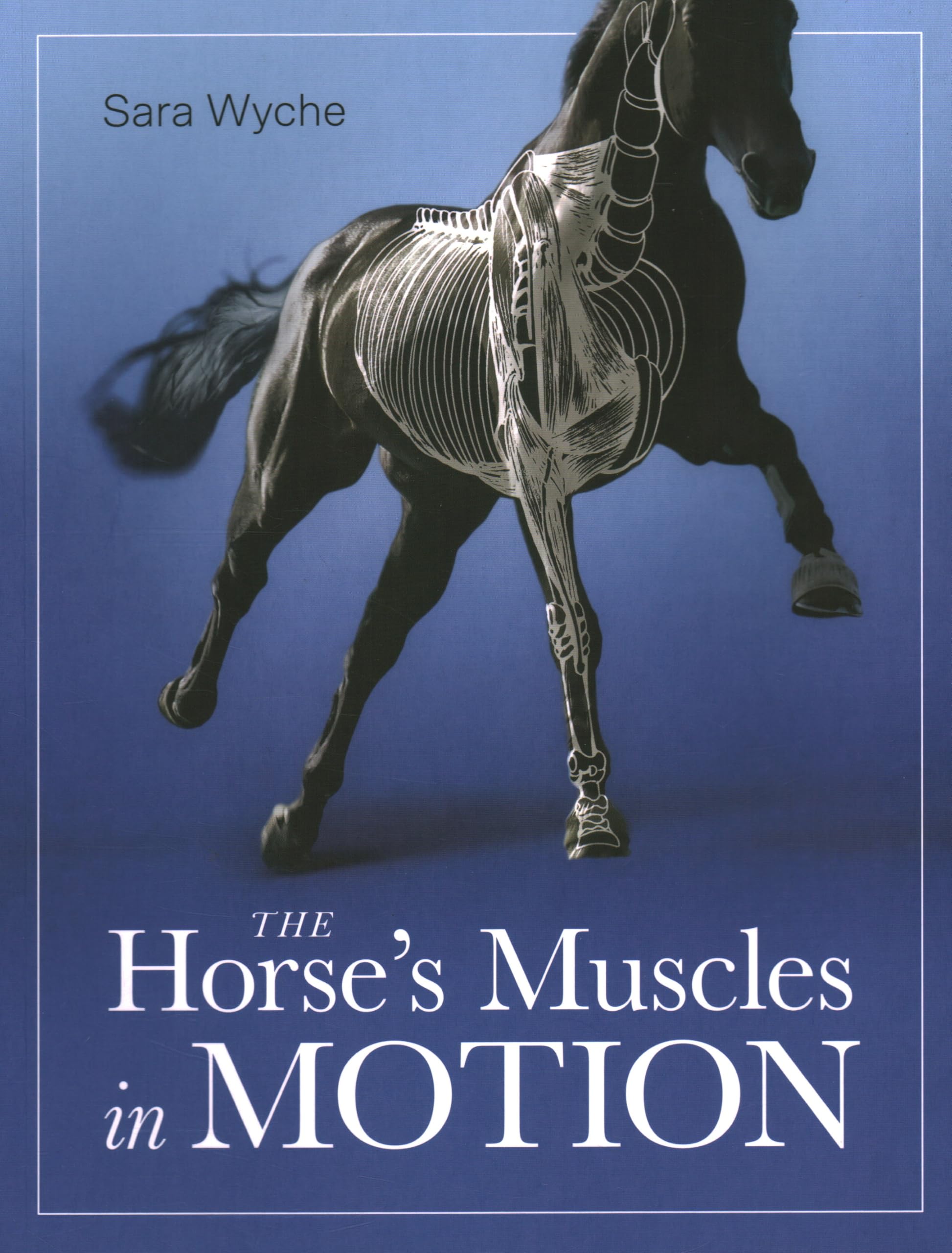 Horses Muscles in Motion by Sara Wyche PAPERBACK 9780719840869