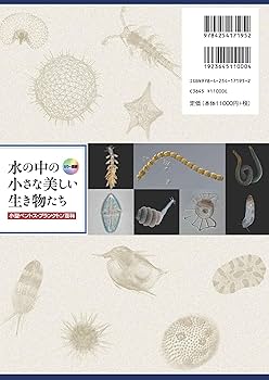 カラー図解 水の中の小さな美しい生き物たち: 小型ベントス