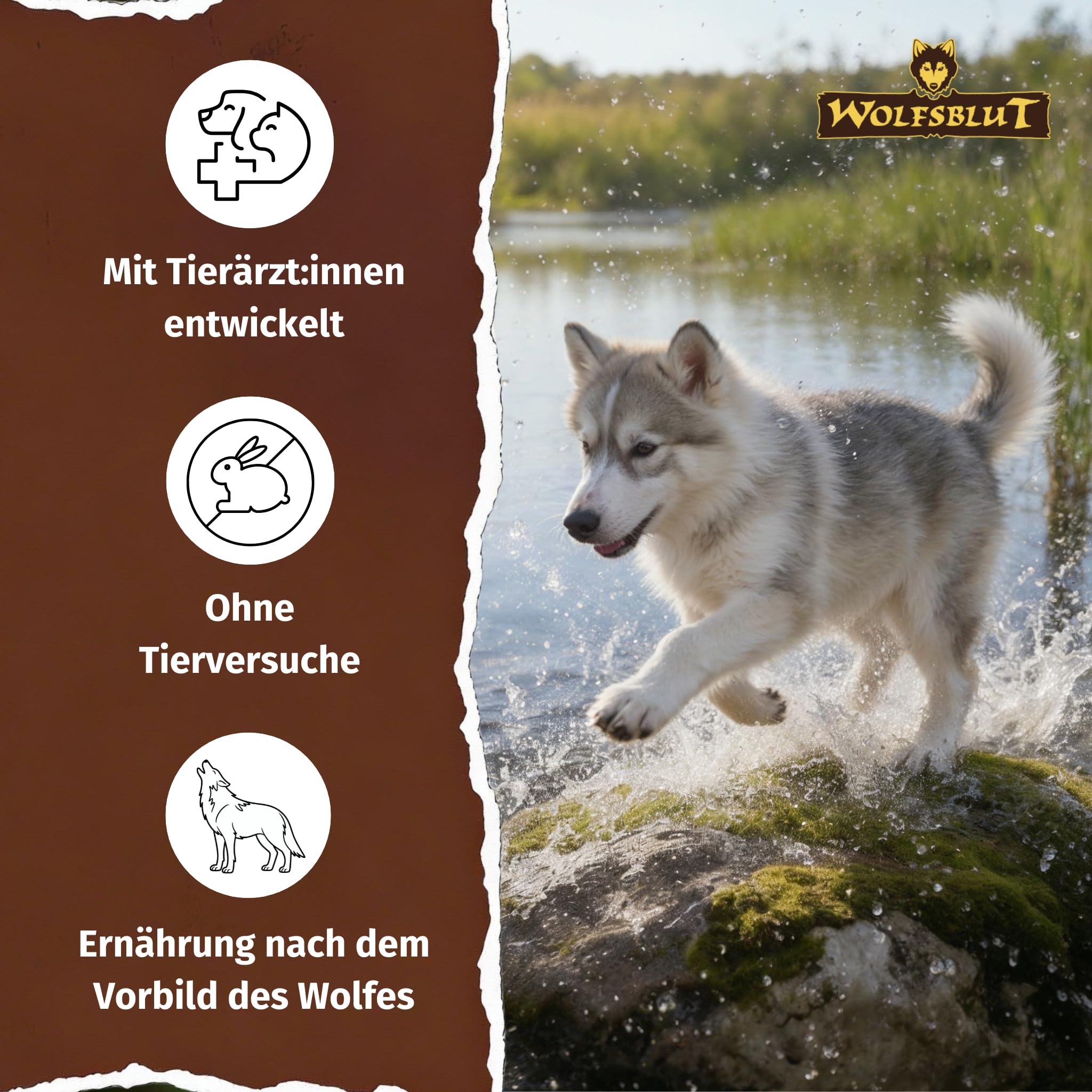 WOLFSBLUT – Wild Duck Puppy | Trockenfutter mit natürlichen Zutaten und wertvollen Superfoods für heranwachsende Hunde. Getreidefreies Alleinfutter ohne Zusatzstoffe im Beutel | 12,5kg Ente