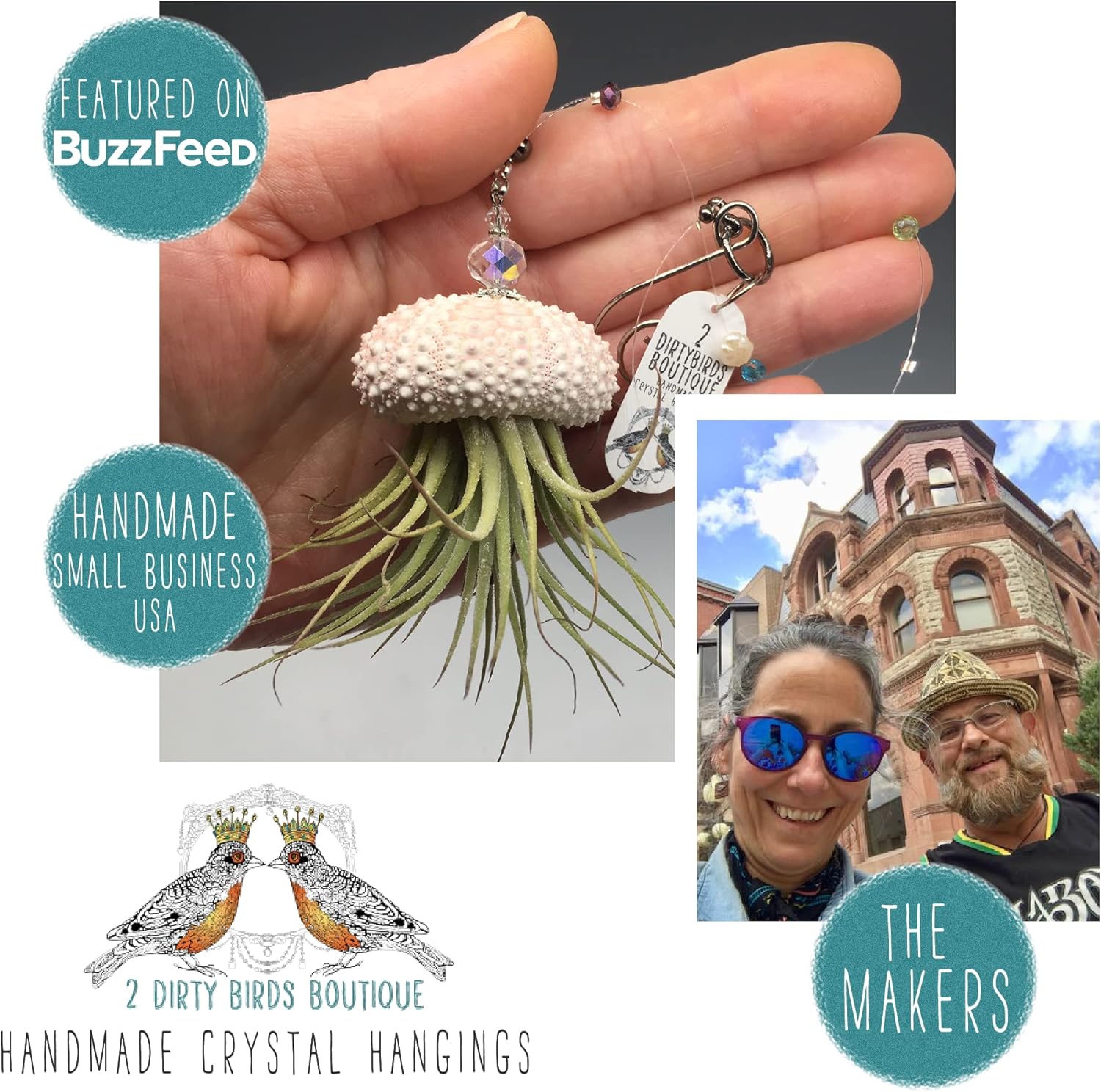 Handmade Hanging Sea Urchin Shell Jellyfish Live Succulent Air Plants, w/Sea Glass, Crystal and Freshwater Pearls (Pack of 4) by 2 Dirty Birds Boutique