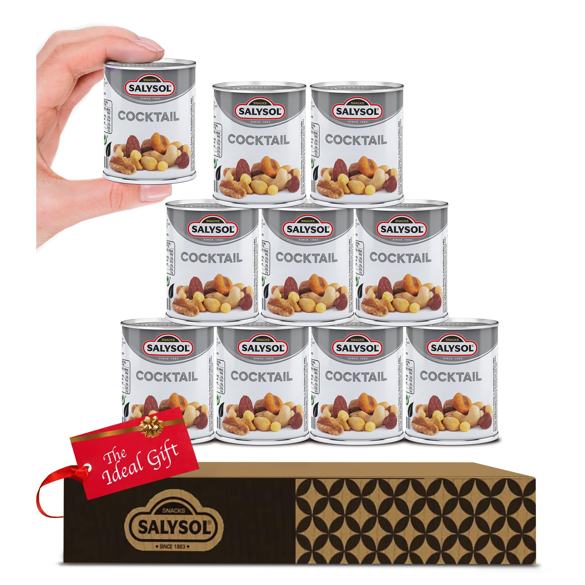 Salysol Snacks Nuts Spicy BBQ Cocktail 10 x 50g Cans - Smoke Almonds, Hazelnuts, Cashews, Salt Peanuts, Walnuts, Roasted Corn, Honey Peanuts - Gift Sets for Men and Women in Gift Box