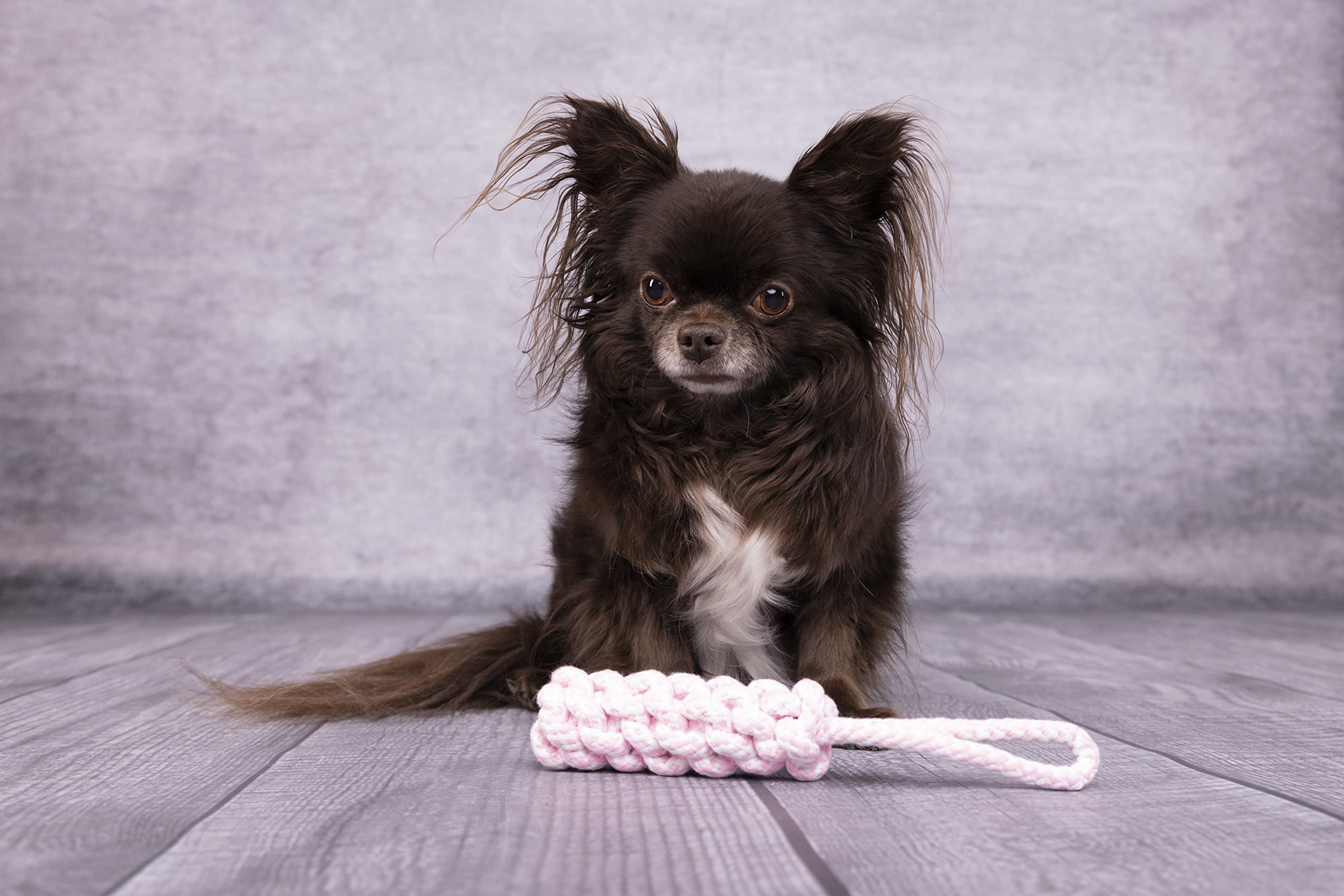 Flamingo GC Small Dog Corda Dummy Ivar Rosa 24CM