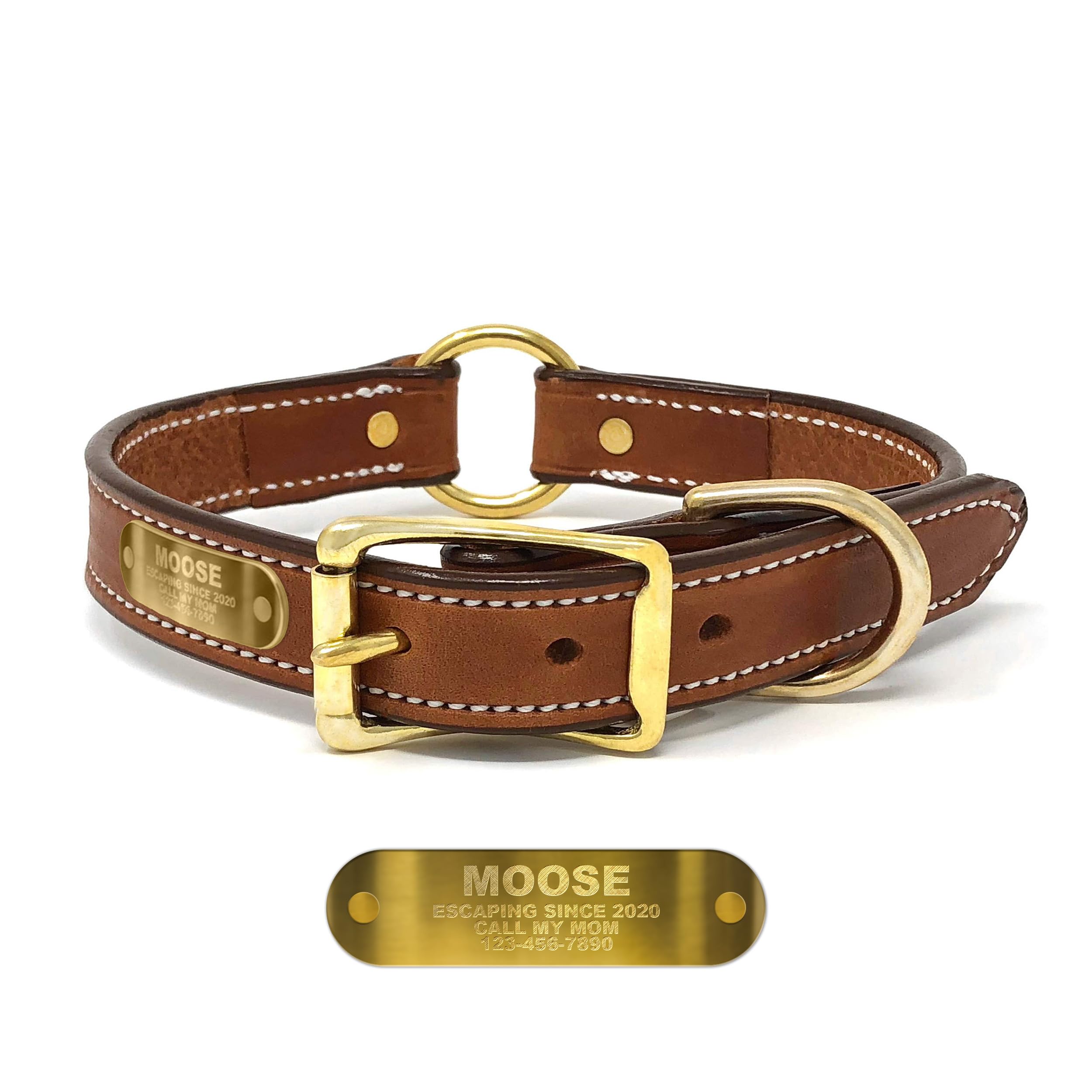 Regal Dog Products Engraved Leather Collar