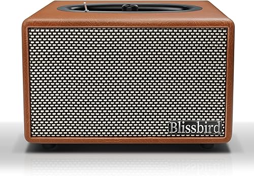 Altavoz Bluetooth para el hogar, 50 W, altavoces portátiles con graves profundos, sonido estéreo fuerte, entrada auxiliar incorporada de 0.138