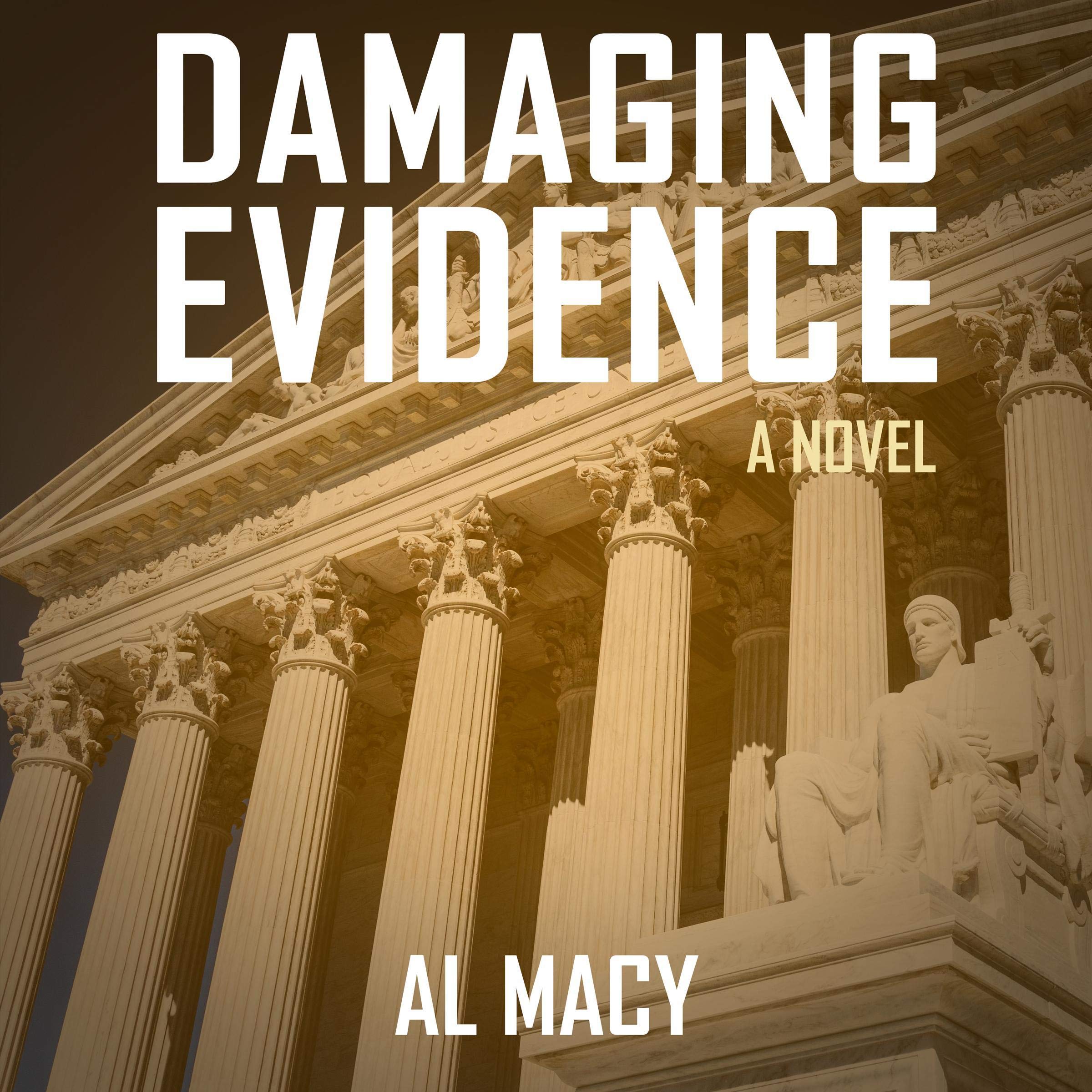 Cover art for Damaging Evidence
