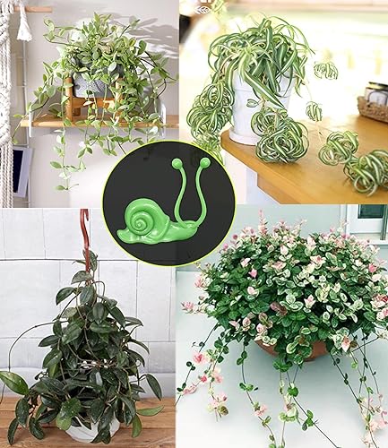Miniatura 4 de 50 clips de pared para plantas gancho de fijación invisible autoadhesivo para decoración de pared y jardín