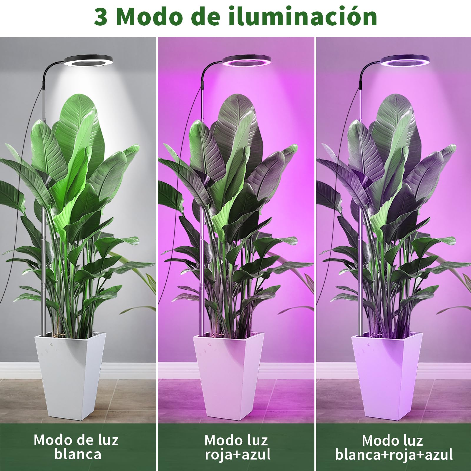 LED