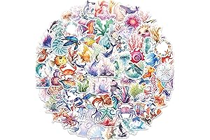 100PCS Ocean Stickers, Trending Seashell Stickers for Any Surface