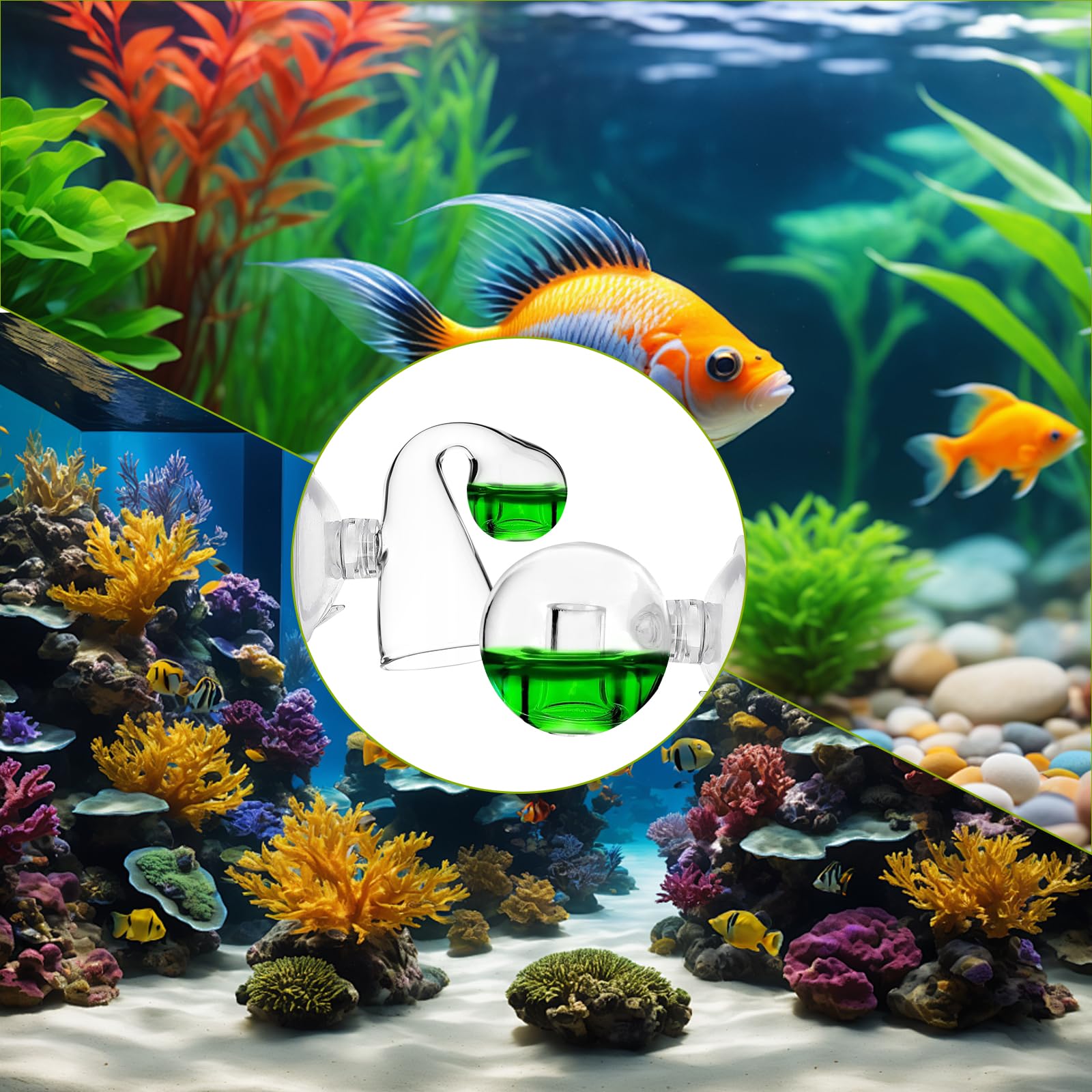 Tester CO2 In Vetro Per Acquario, Monito CO2 Da Appendere, Indicatore Per Piante Acquatiche E Pesci