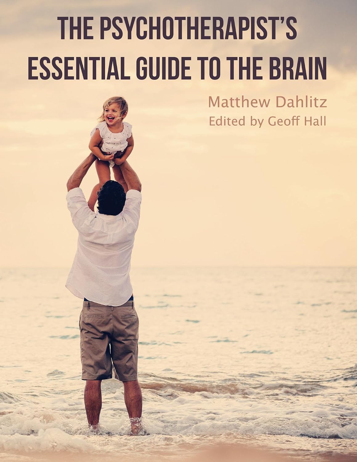 The Psychotherapist's Essential Guide to the Brain