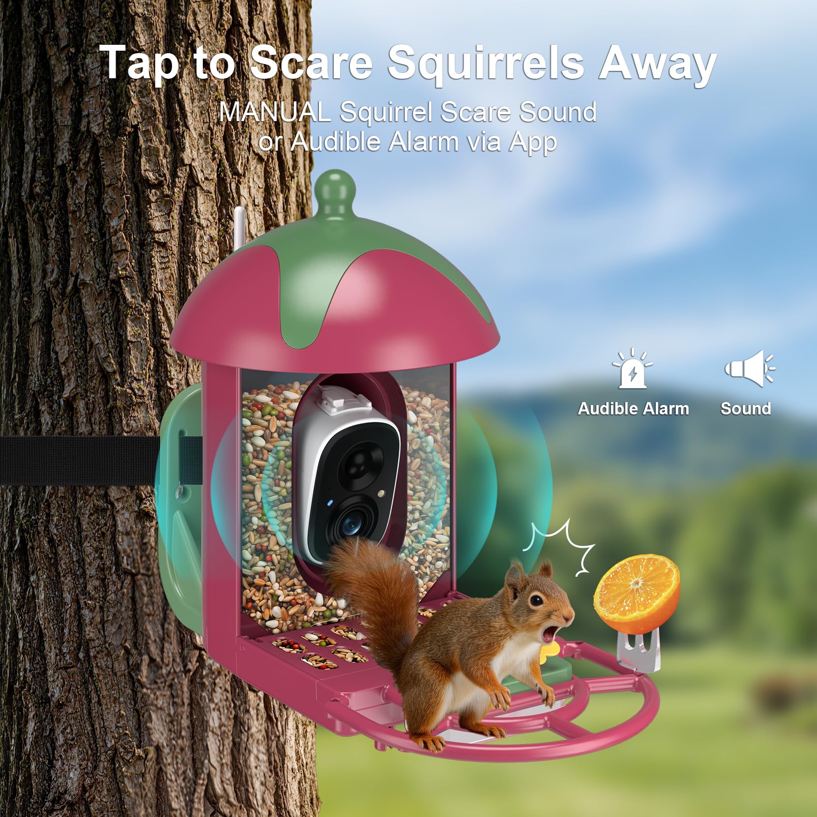 Vogelfutterstation mit Kamera Outdoor Vogelhaus - AI identifiziert 11000+ Arten, 2K HD, Ankunftswarnungen, solarbetrieben, Weihnachten Rot Grün Design, Kolibri freundlich, Geschenk für Vogelliebhaber
