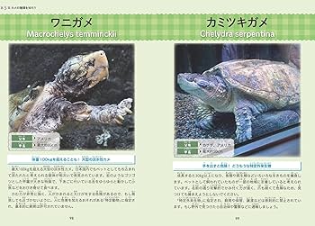 小学生でも安心! はじめてのカメ 正しい飼い方・育て方 (まなぶっく