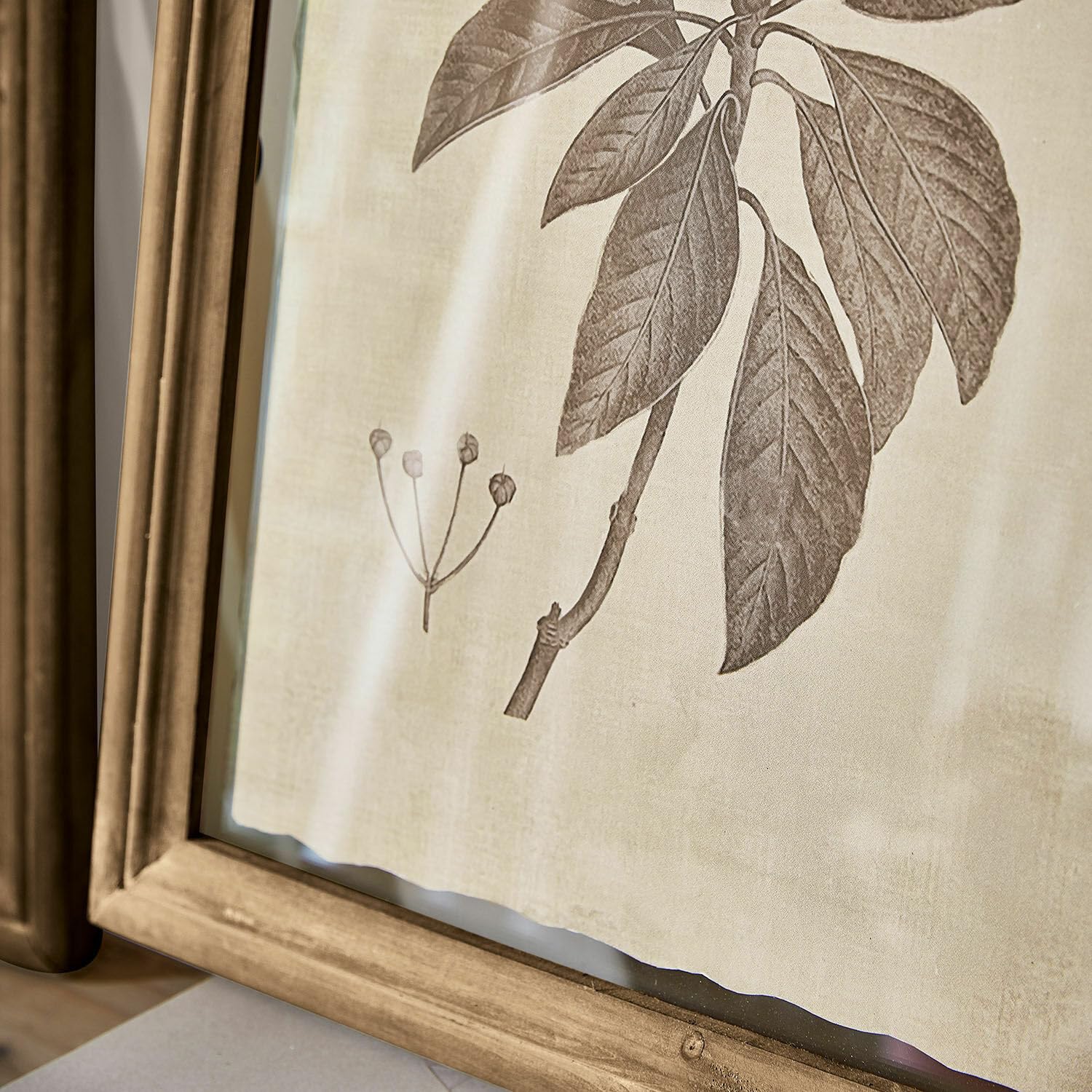 Loberon Bild 2er Set Guyra, nostalgisch gemalte Blumen, faszinierender Vintage-Stil, Wanddekoration, Tannenholz, Papier, Glas, beige/braun
