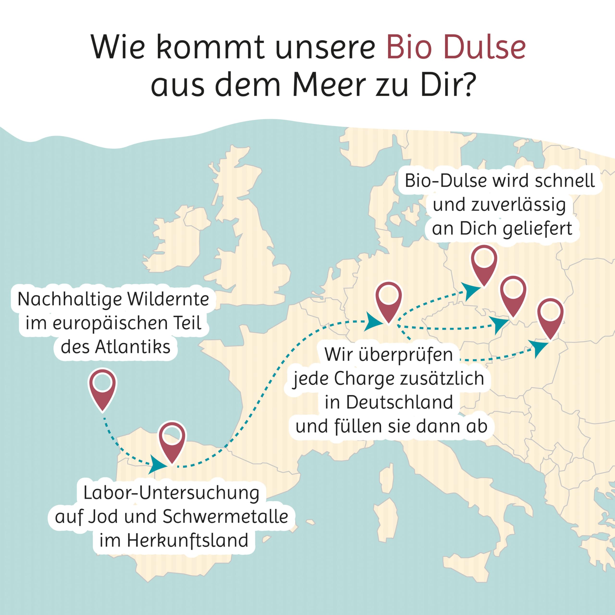 Algenladen Bio Dulse Polvo – 100 g ï Lappentang ï Algas rojas del Atlántico – Vegano