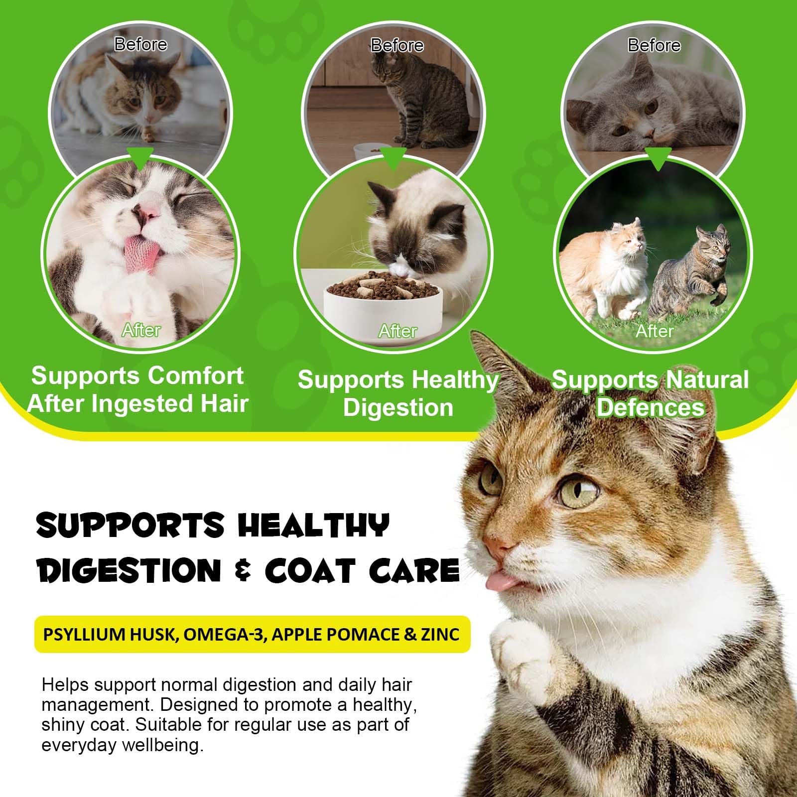 Hairball Lot de 2 traitements pour chats 200 g 60 jours avec oméga-3 et fibres alimentaires Soutient la digestion, la peau et le pelage
