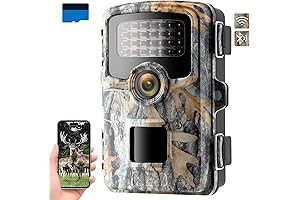 Trail Camera with Cellular Connection and Phone Compatibility