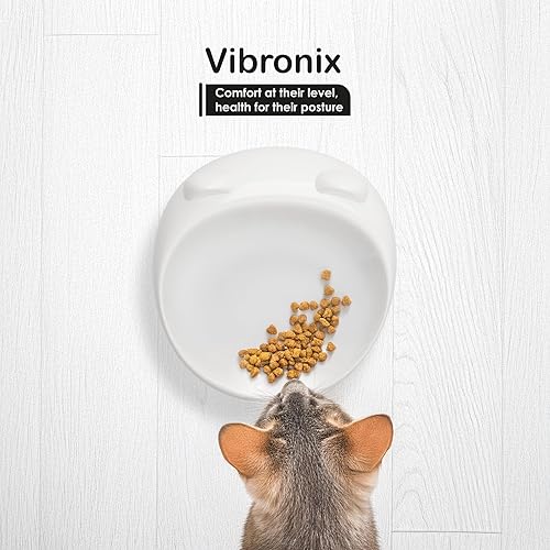 Miniatura 8 de Paquete de 2 cuencos elevados de cerámica para gatos, juego de cuencos de cerámica antivómitos con plato inclinado y tapete de comida para gatos,