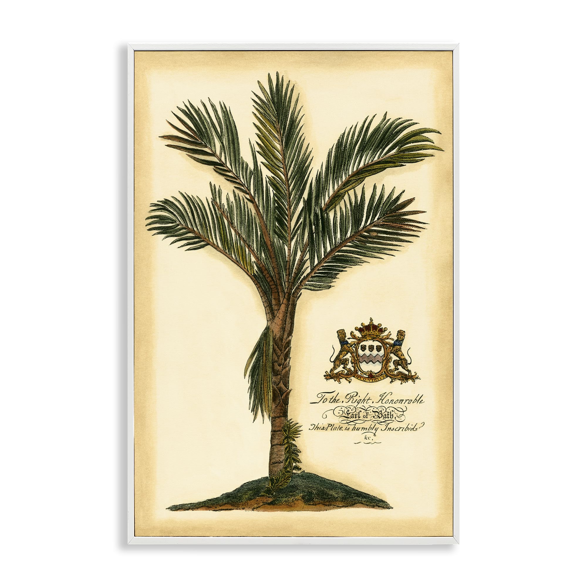 'Vintage Colonial Palm'| Framed Giclee Art