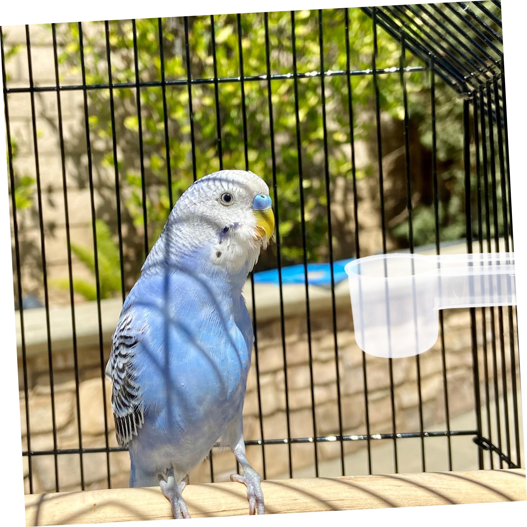 ibasenice Bebedero Automático Fácil de Limpiar para Palomas y Loros Doble Salida Plástico Blanco Paquete de 10 Unidades Adecuado para Tiendas de Mascotas y Zoológicos