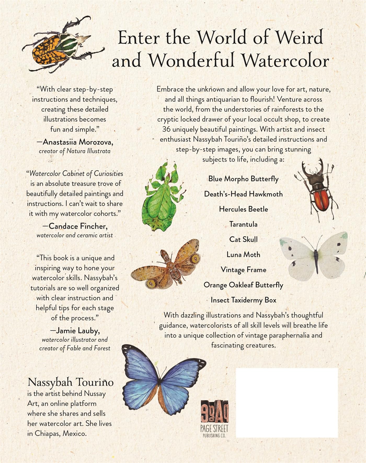 Watercolor Cabinet of Curiosities: Paint Perfectly Peculiar Insects, Antiques & Other Oddities