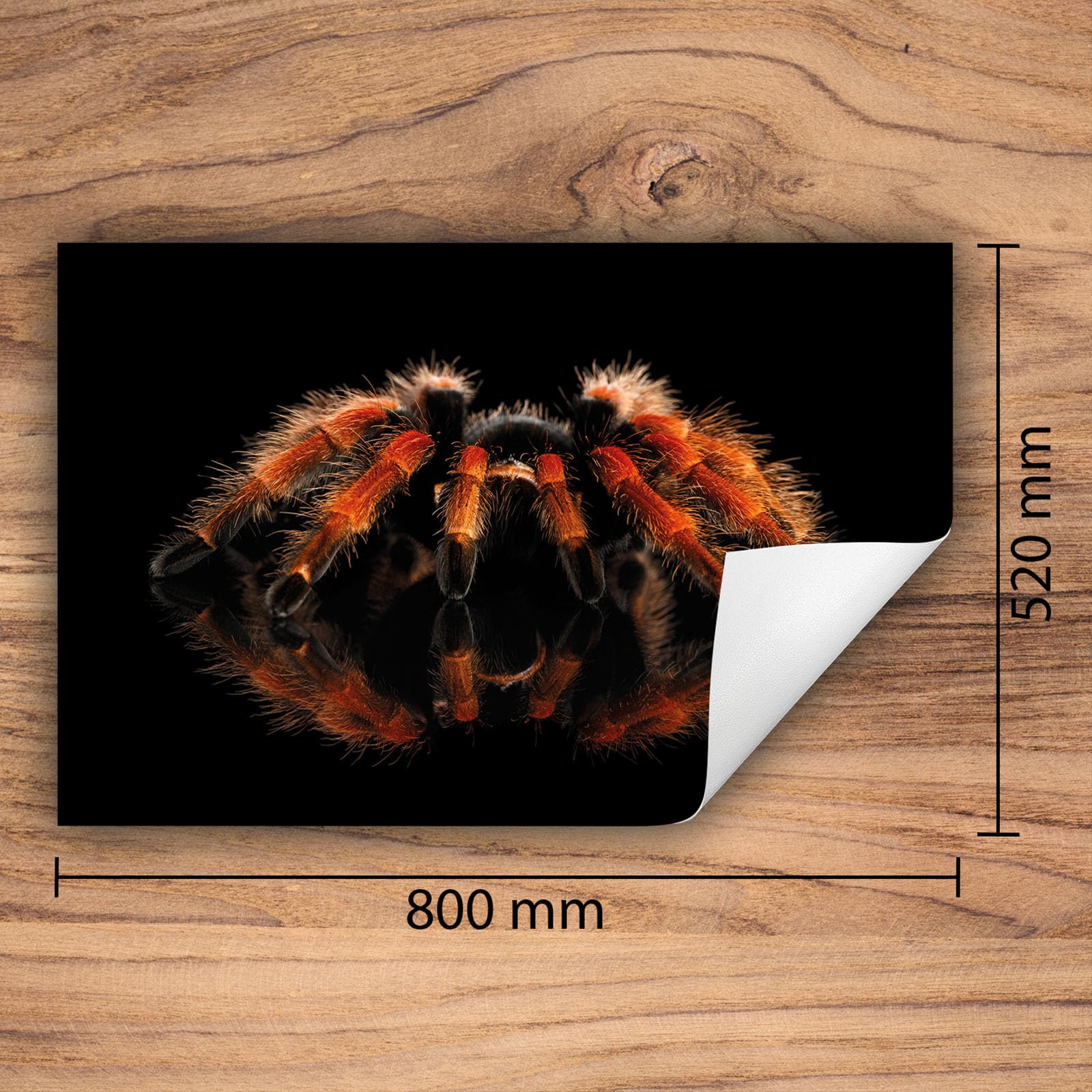 Tapa para placa de induccion - Placa protectora vitroceramica 80x52 cm - negro - araña