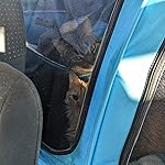 Review Image by Lindsay Dennis Lindsay Dennis