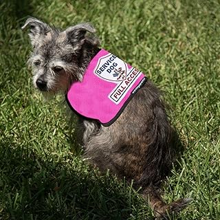 Premium Service Dog Vest - for Smaller Service Dogs (11-20 Pounds (S), Raspberry) - Includes 5 Federal Law Cards