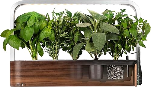 Miniatura 3 de edn SmallGarden Baby Red Romaine SeedPods - Paquete de 10